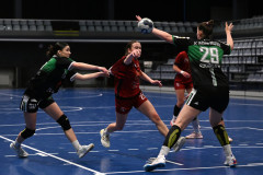 DSZ_085