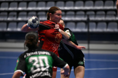 DSZ_087