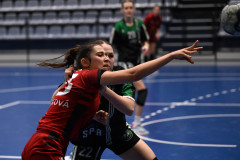 DSZ_093