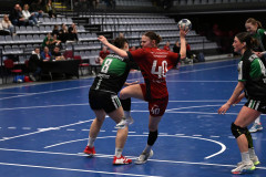 DSZ_096