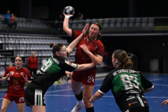 DSZ_099