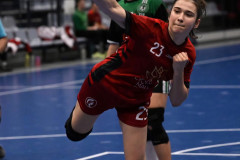 DSZ_113